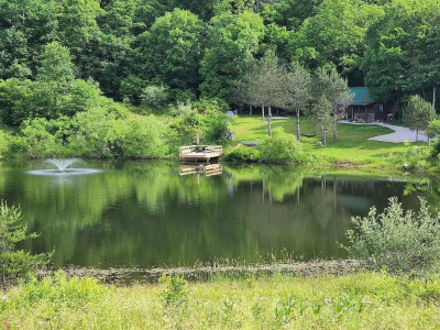Cabin and Pond